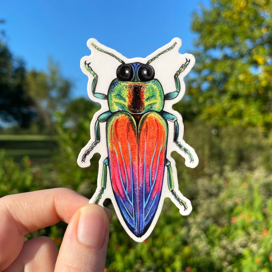 Rainbow Jewel Beetle Weatherproof Vinyl Sticker