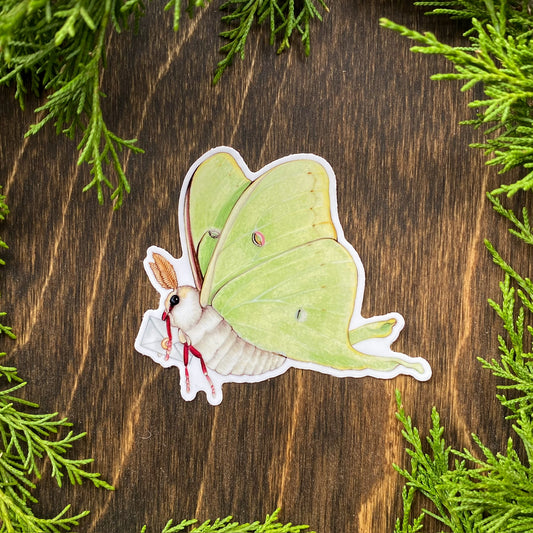 A weatherproof sticker featuring an illustration of a luna moth carrying a letter