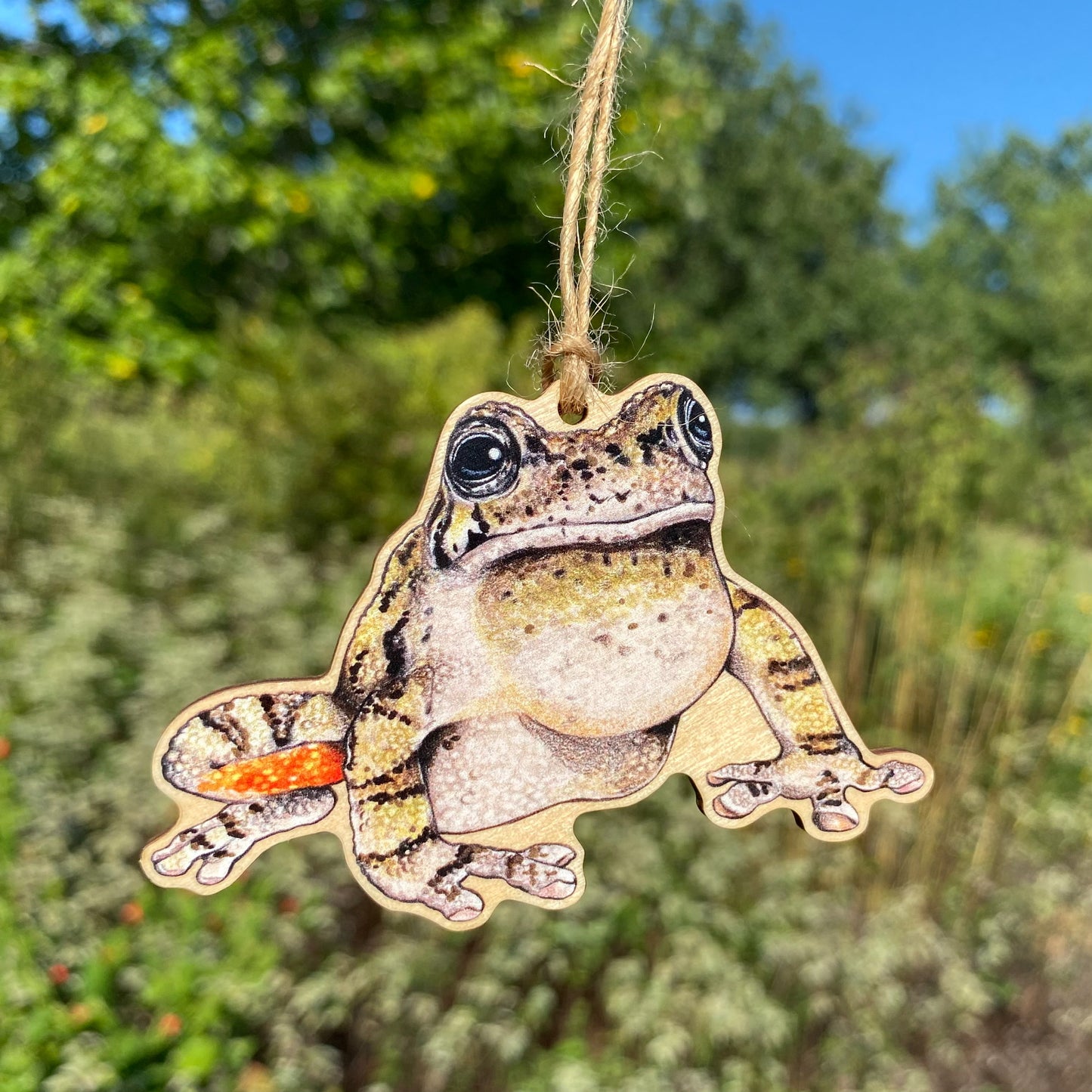 Cope's Gray Treefrog Wood Print Ornament