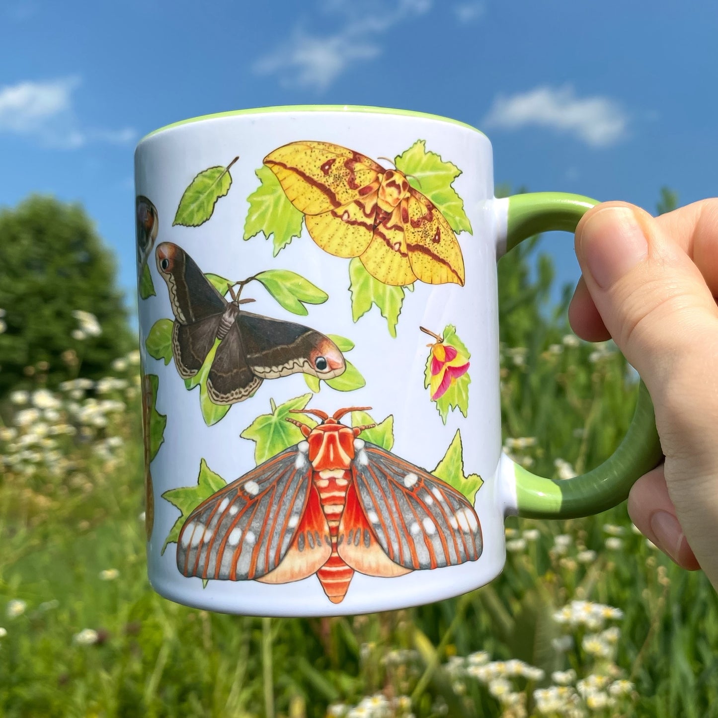 Silk Moths of the Eastern United States Mug