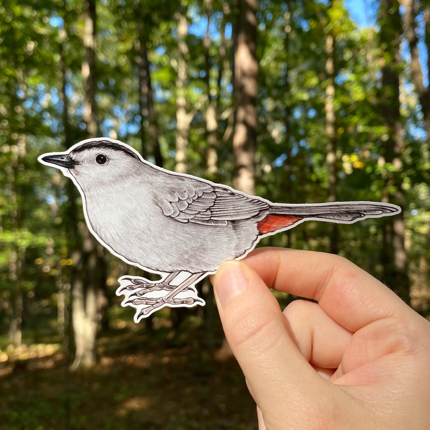 Gray Catbird Weatherproof Vinyl Sticker