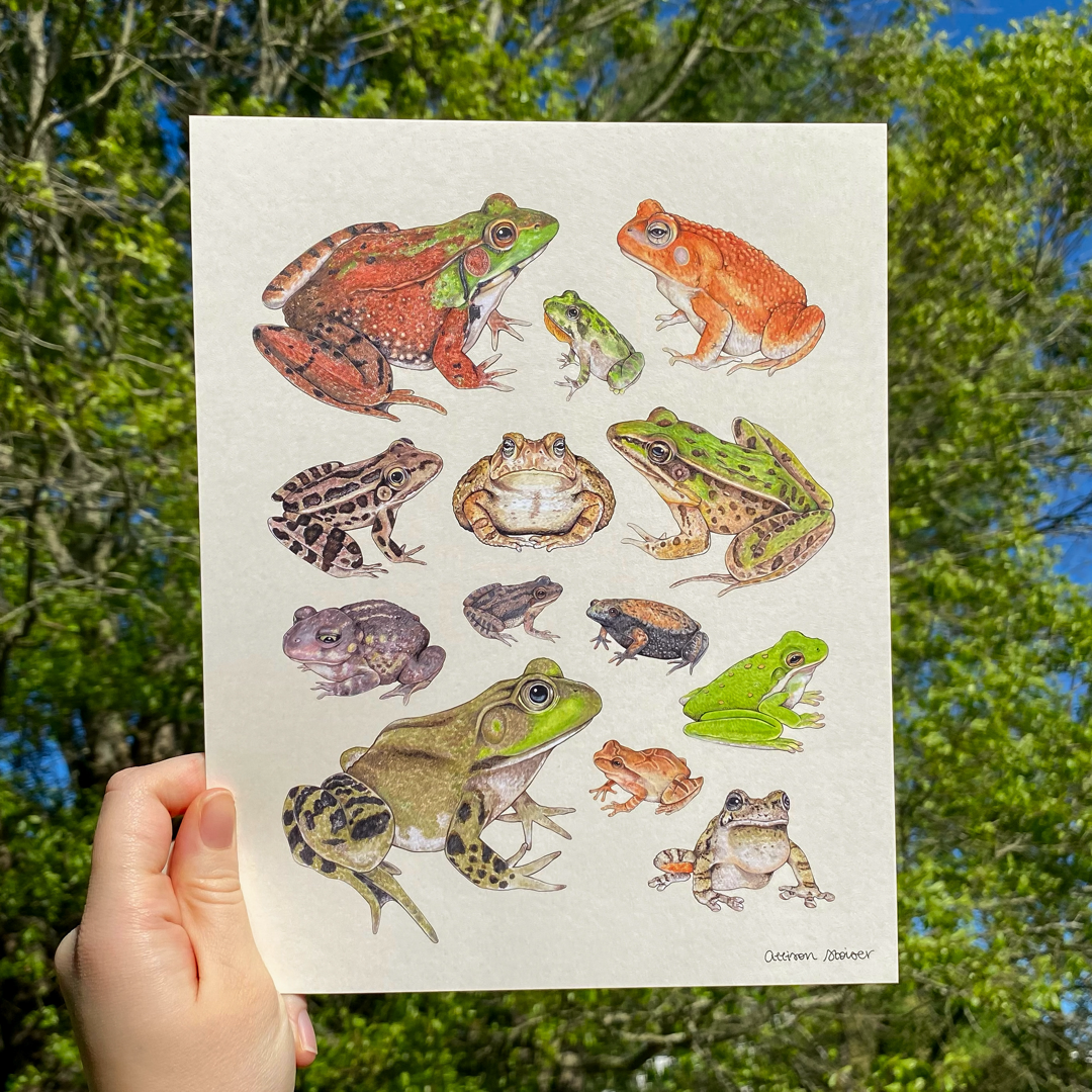 A print featuring illustrations of frogs and toads