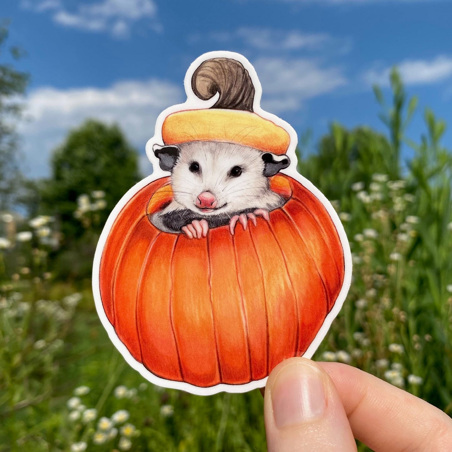 A weatherproof vinyl sticker featuring an opossum peeking up from a pumpkin