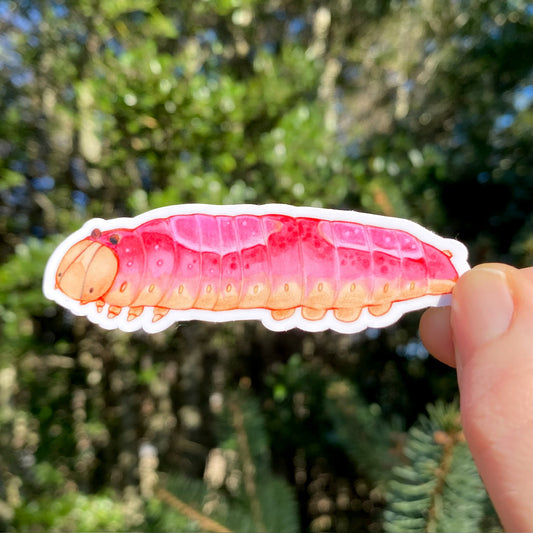 White-blotched Heterocampa Caterpillar Weatherproof Vinyl Sticker