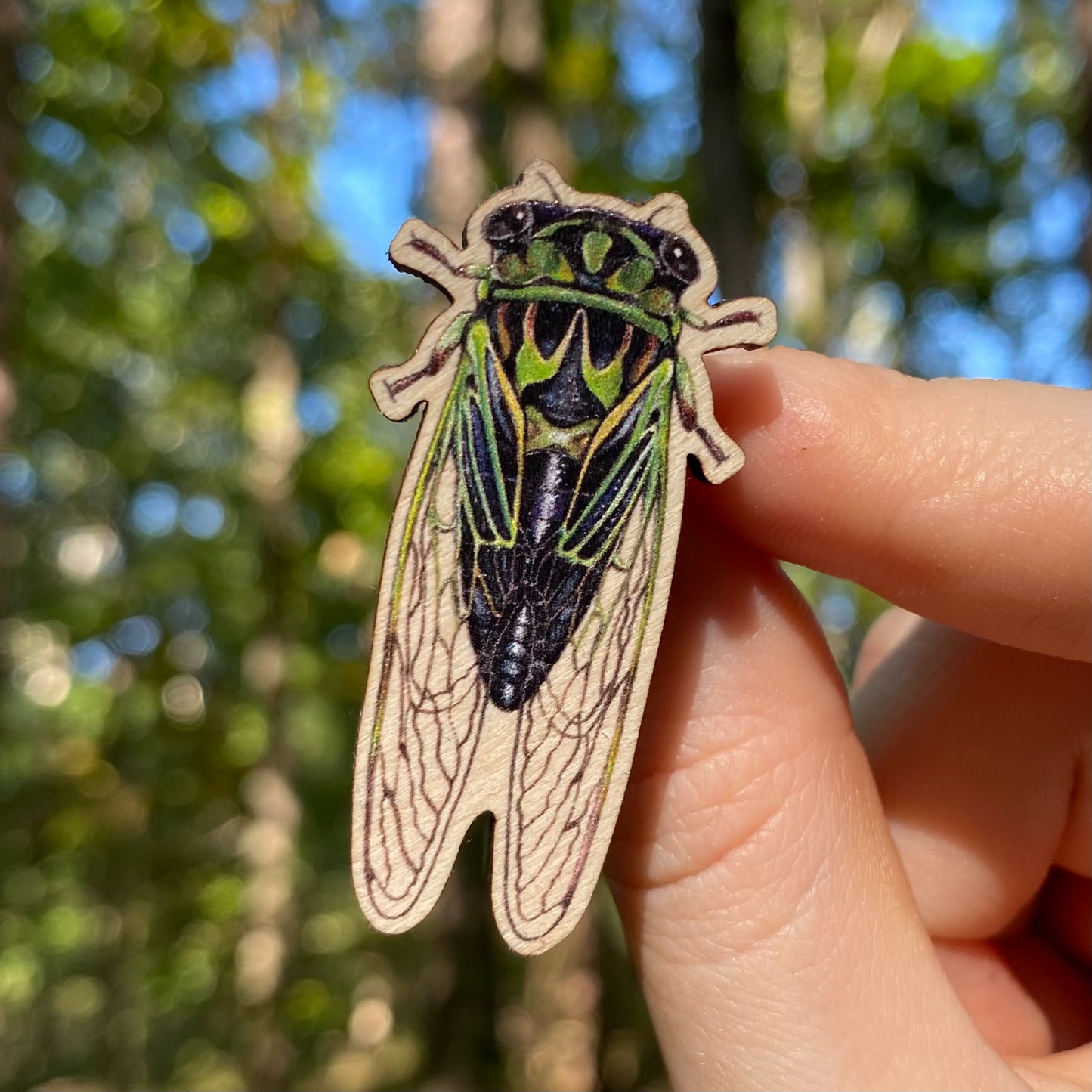 A hand holds a sustainably sourced wooden pin featuring an illustration of a a linne's cicada pin
