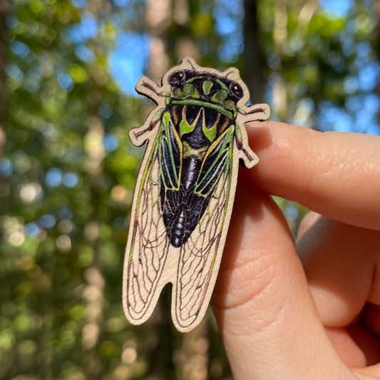 Linne's Cicada Pin