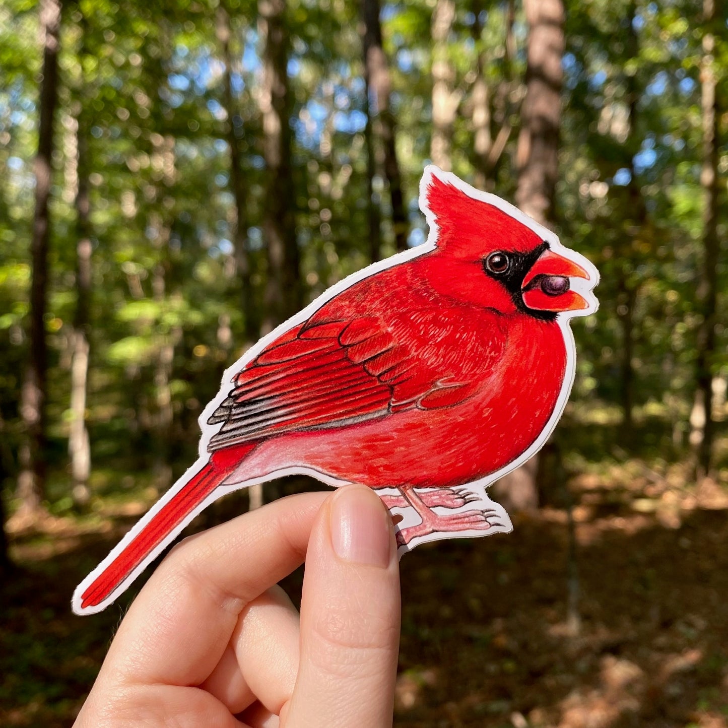 Male North American Cardinal Weatherproof Vinyl Sticker