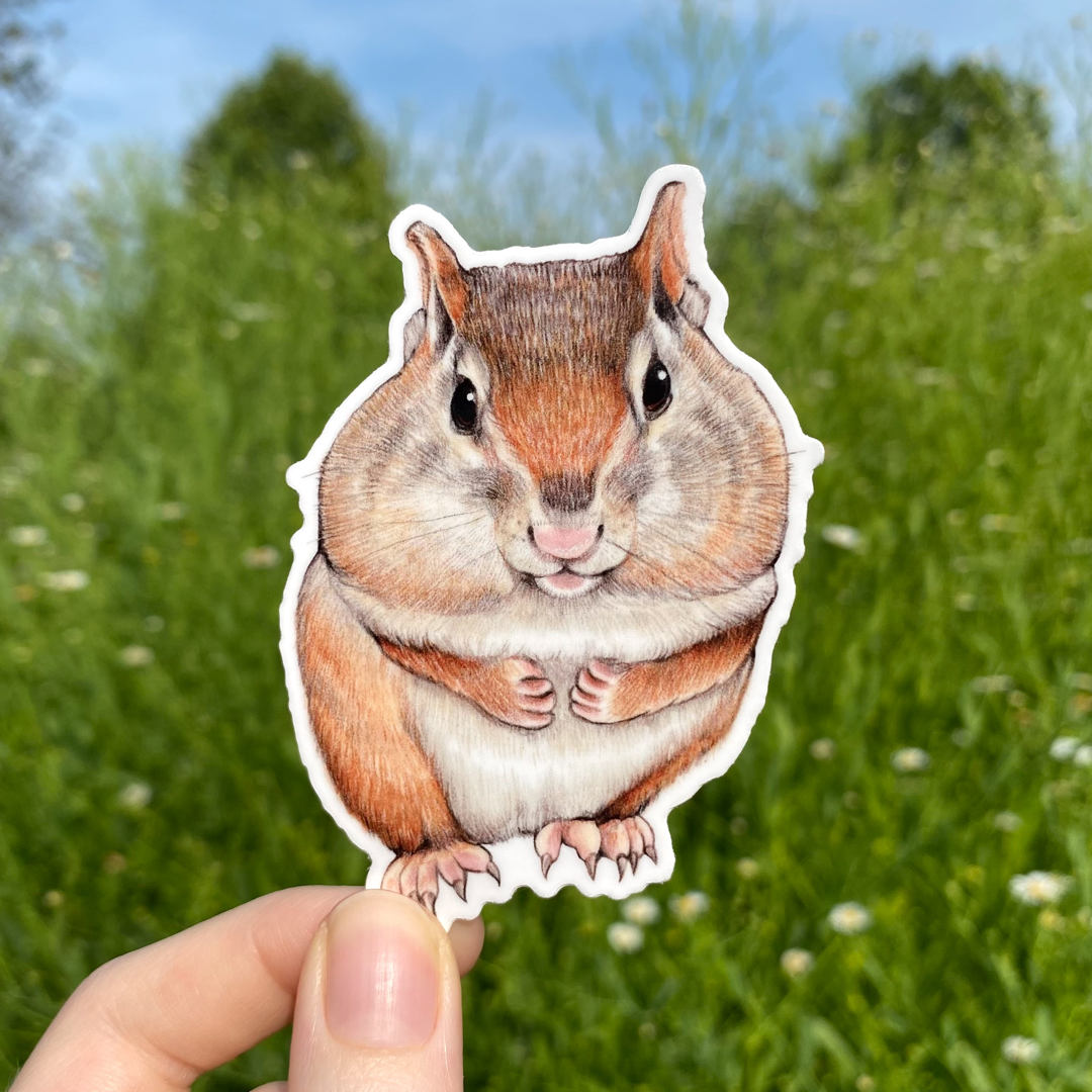 A hand holding a weatherproof vinyl sticker of an eastern chipmunk with full cheeks.