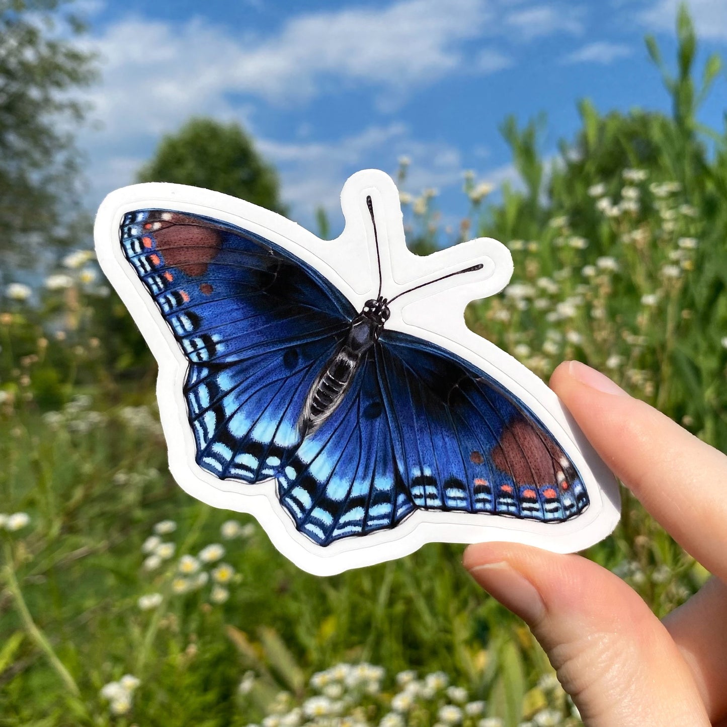 Red-Spotted Purple Weatherproof Vinyl Sticker