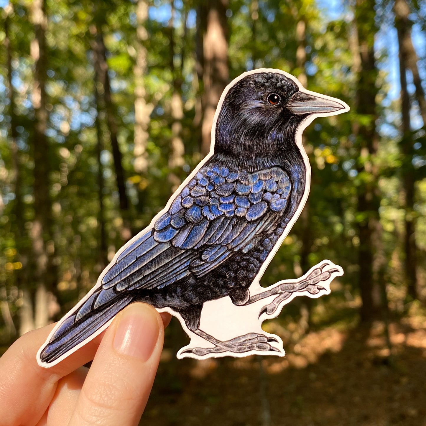 American Crow Weatherproof Vinyl Sticker