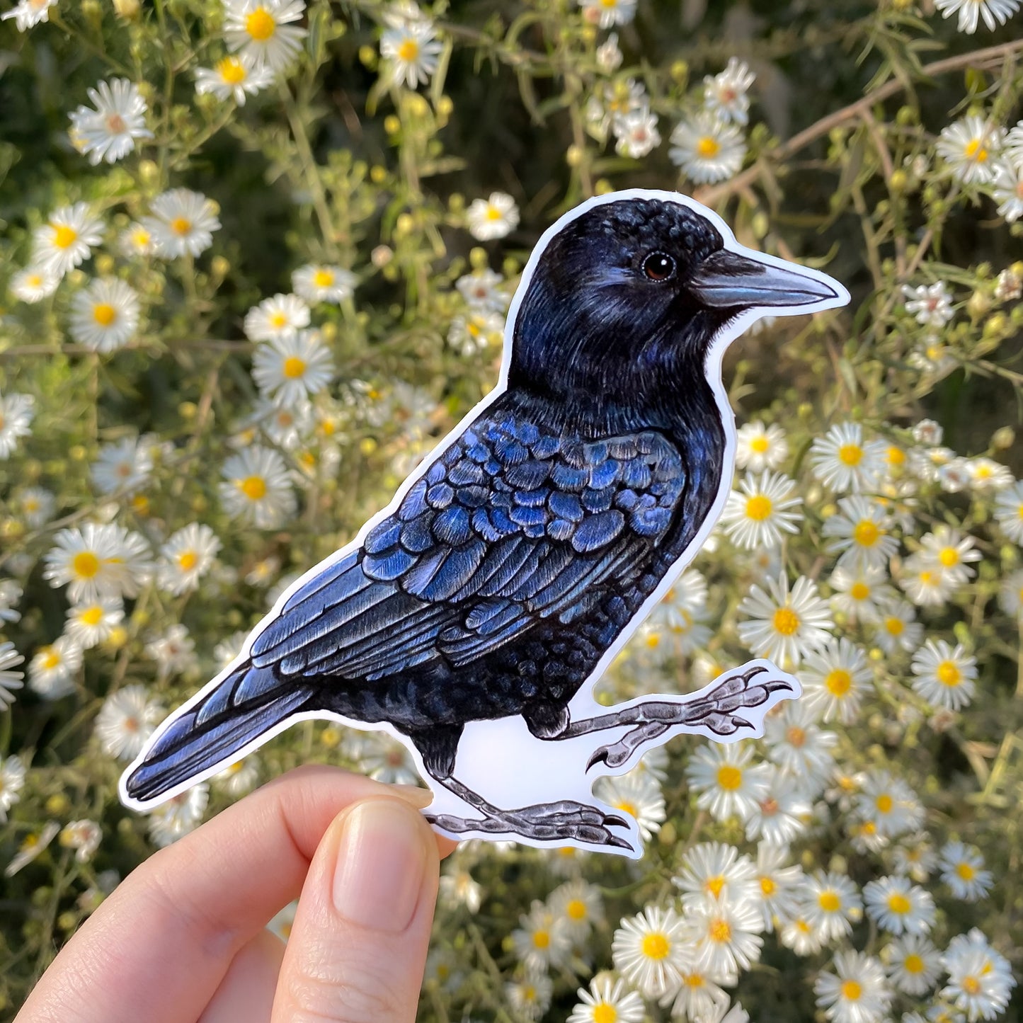 American Crow Weatherproof Vinyl Sticker