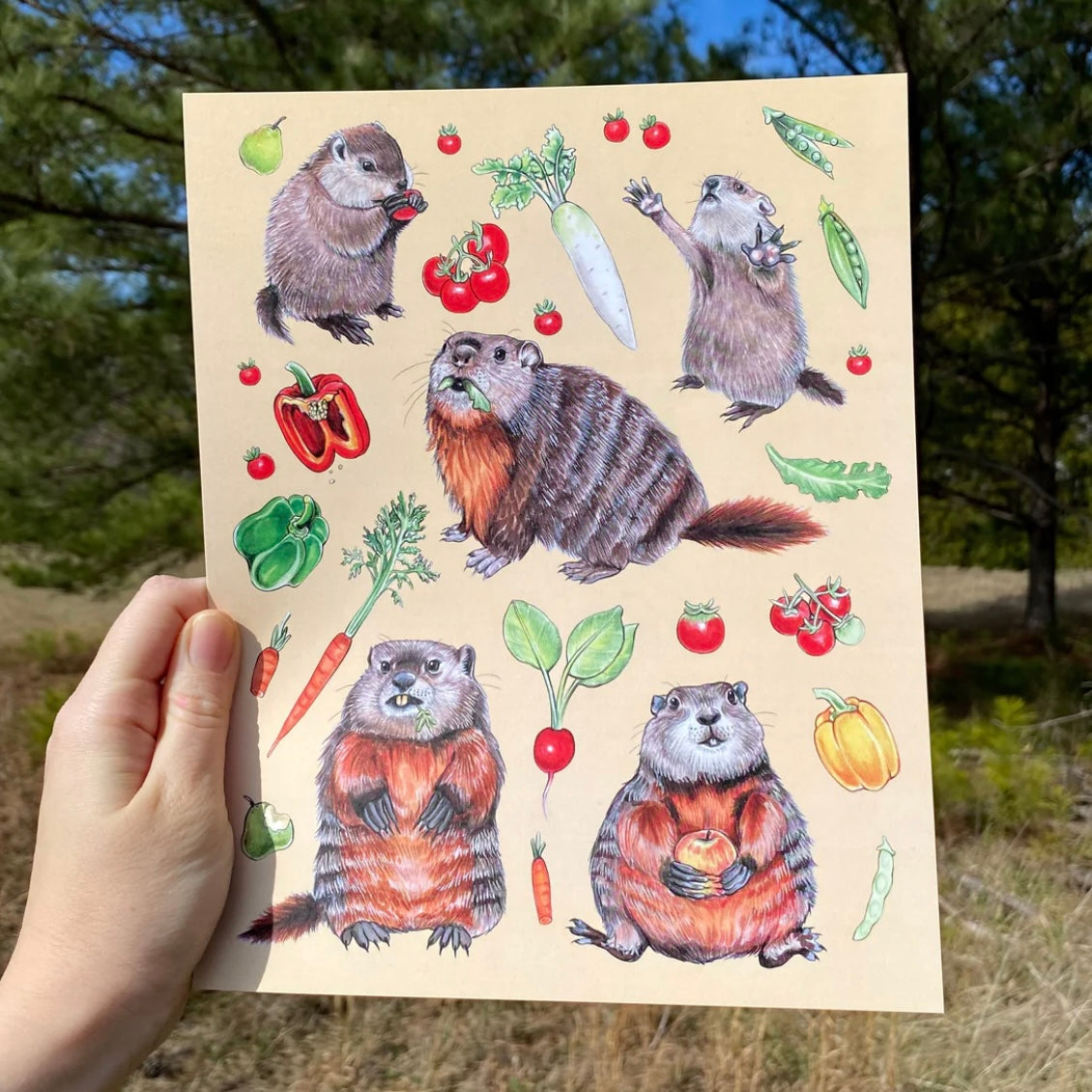 A postcard featuring owls from the Southern United States