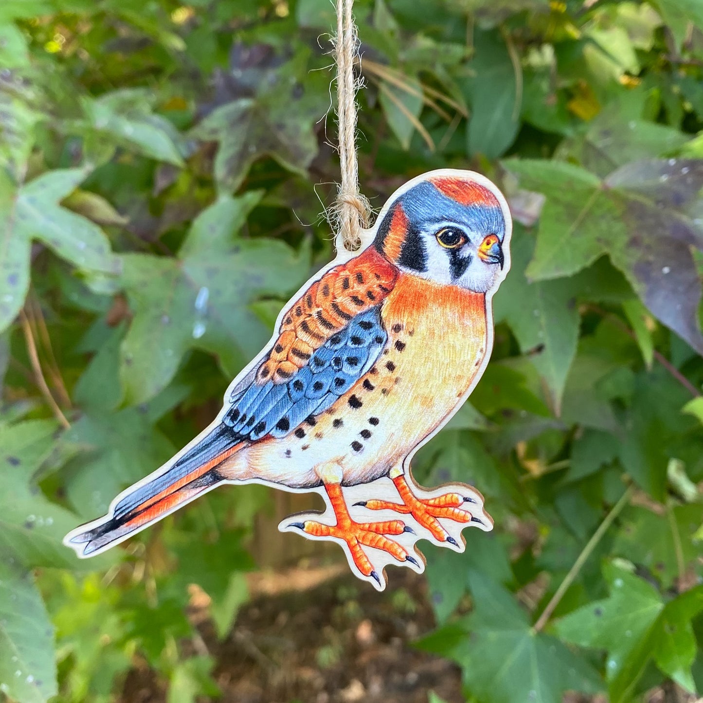 A wooden ornament strung with twine of a male American kestrel.