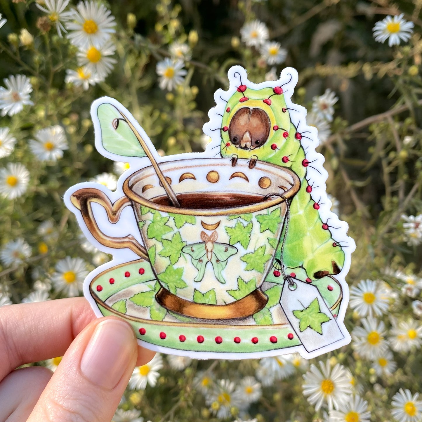 Luna Moth Caterpillar with Sweetgum Teacup Weatherproof Vinyl Sticker