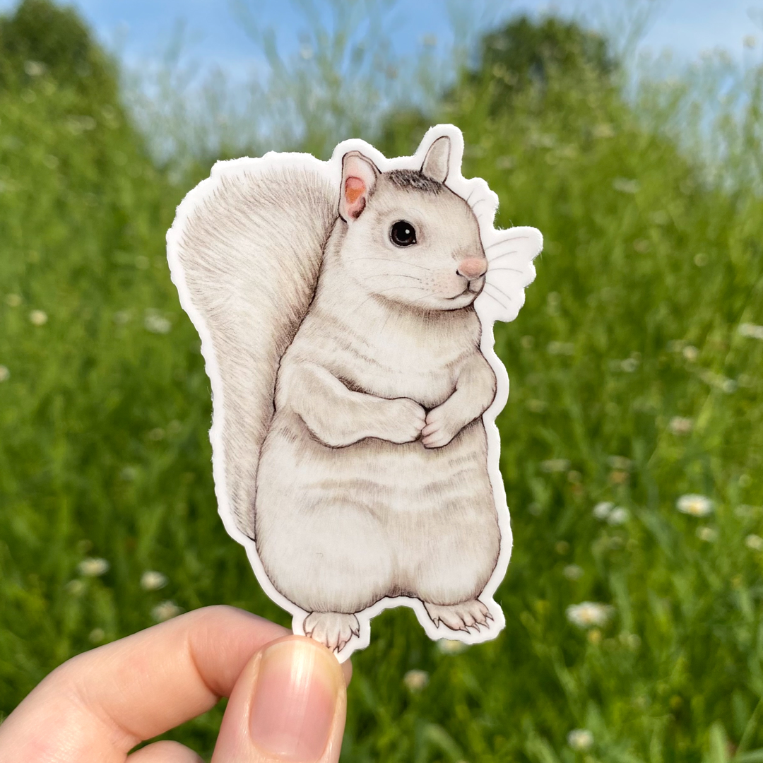 A hand holding a weatherproof vinyl sticker of a white squirrel.