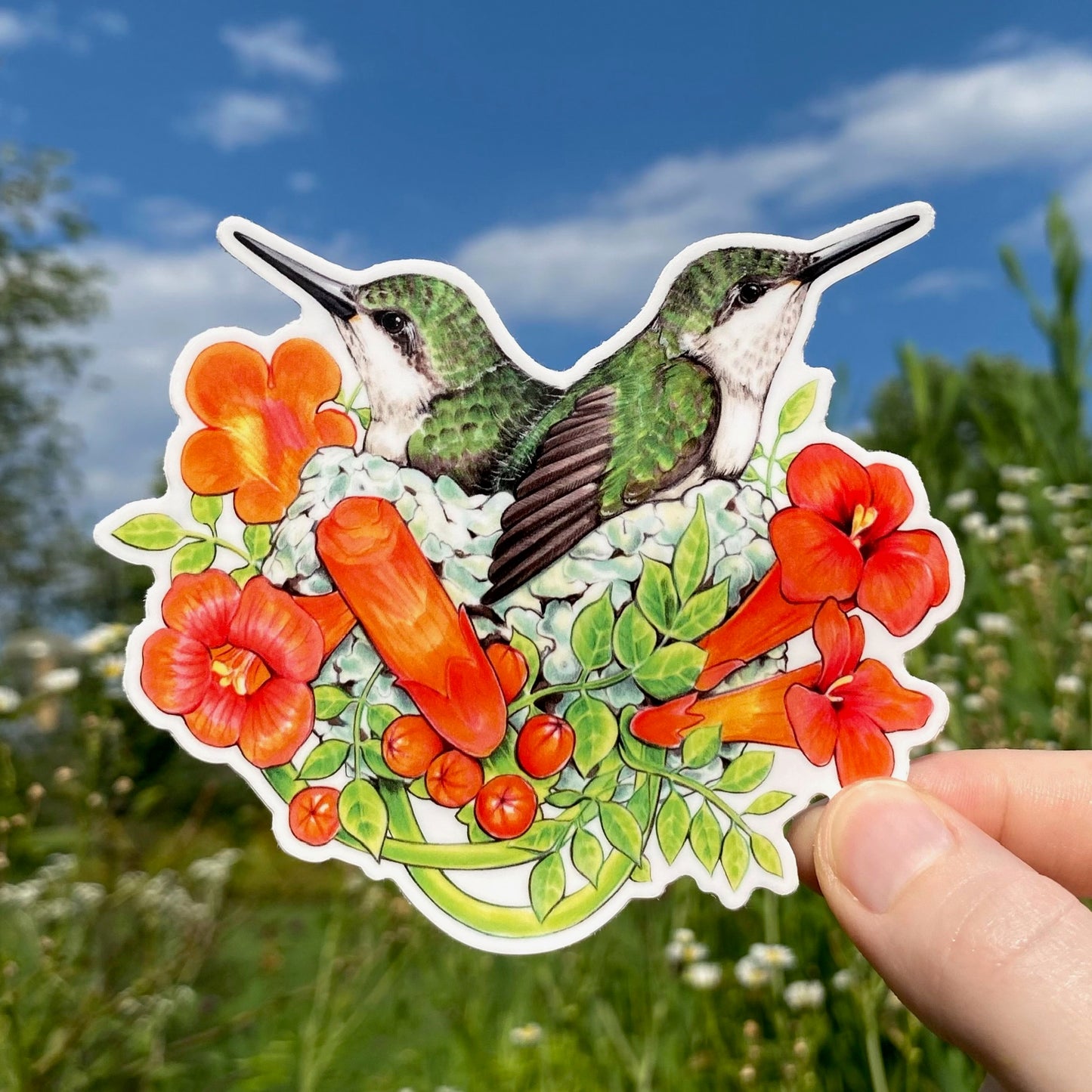 A weatherproof vinyl sticker featuring an illustration of hummingbirds in a nest