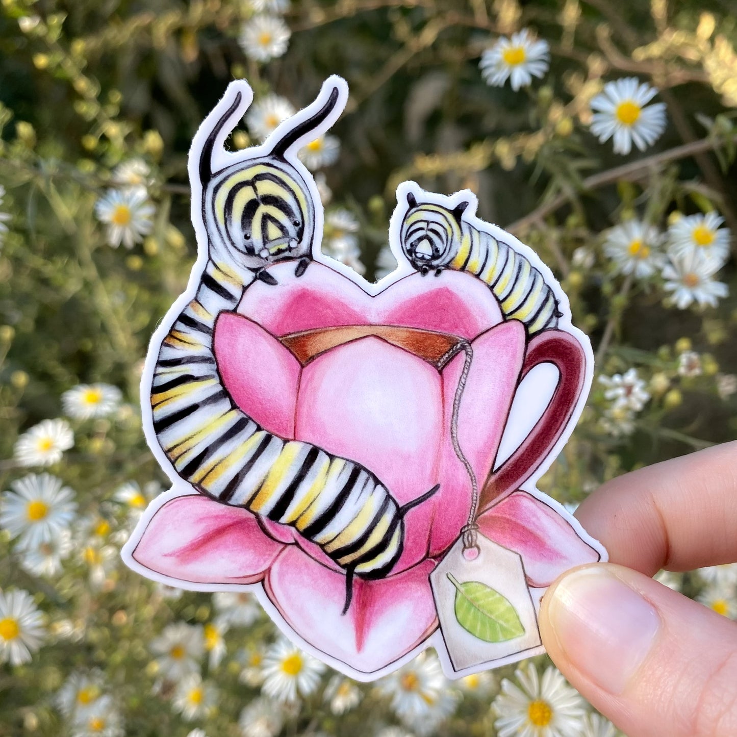 Monarch Caterpillars with Milkweed Teacup Weatherproof Vinyl Sticker