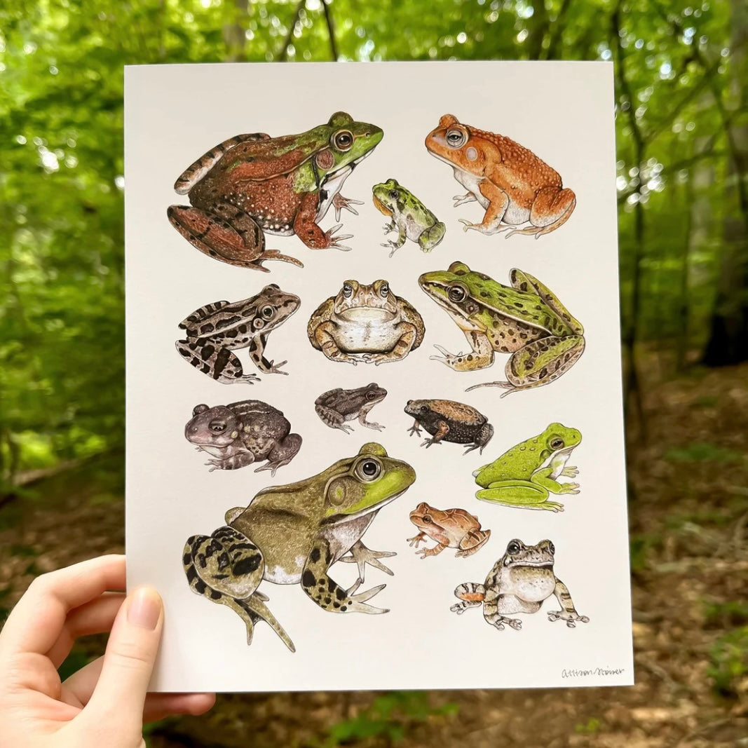 A print featuring illustrations of frogs and toads