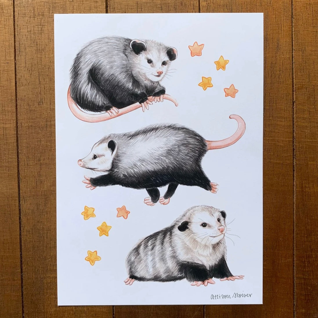 A print featuring an illustration of opossums and stars