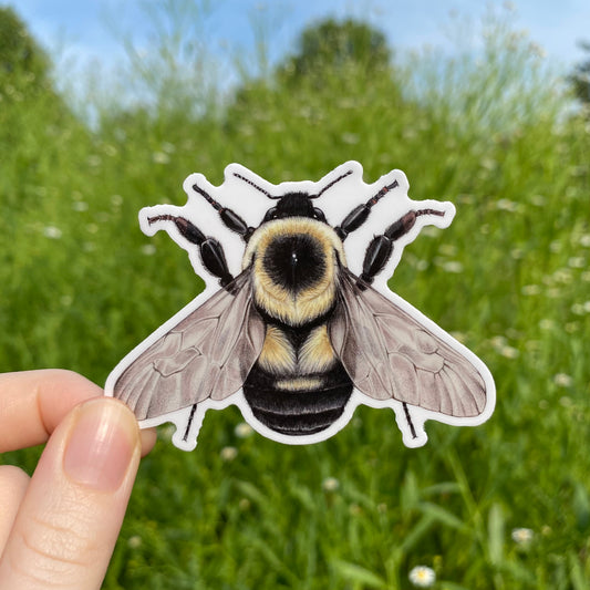 A weatherproof sticker featuring an illustration of a two-spotted bumblebee