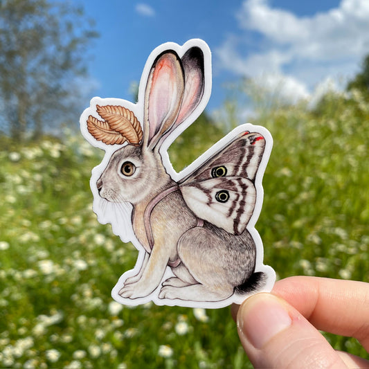 A hand holding a weatherproof vinyl sticker of a black-tailed jackrabbit with greasewood silkmoth wings.