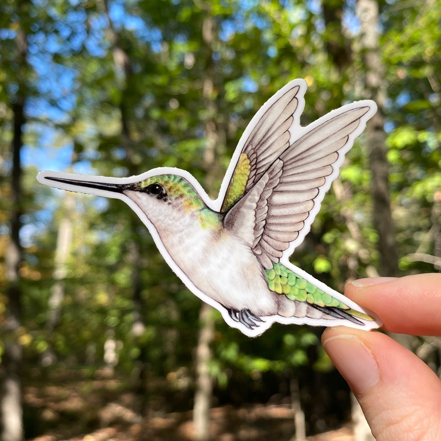 Female Ruby-Throated Hummingbird Weatherproof Vinyl Sticker
