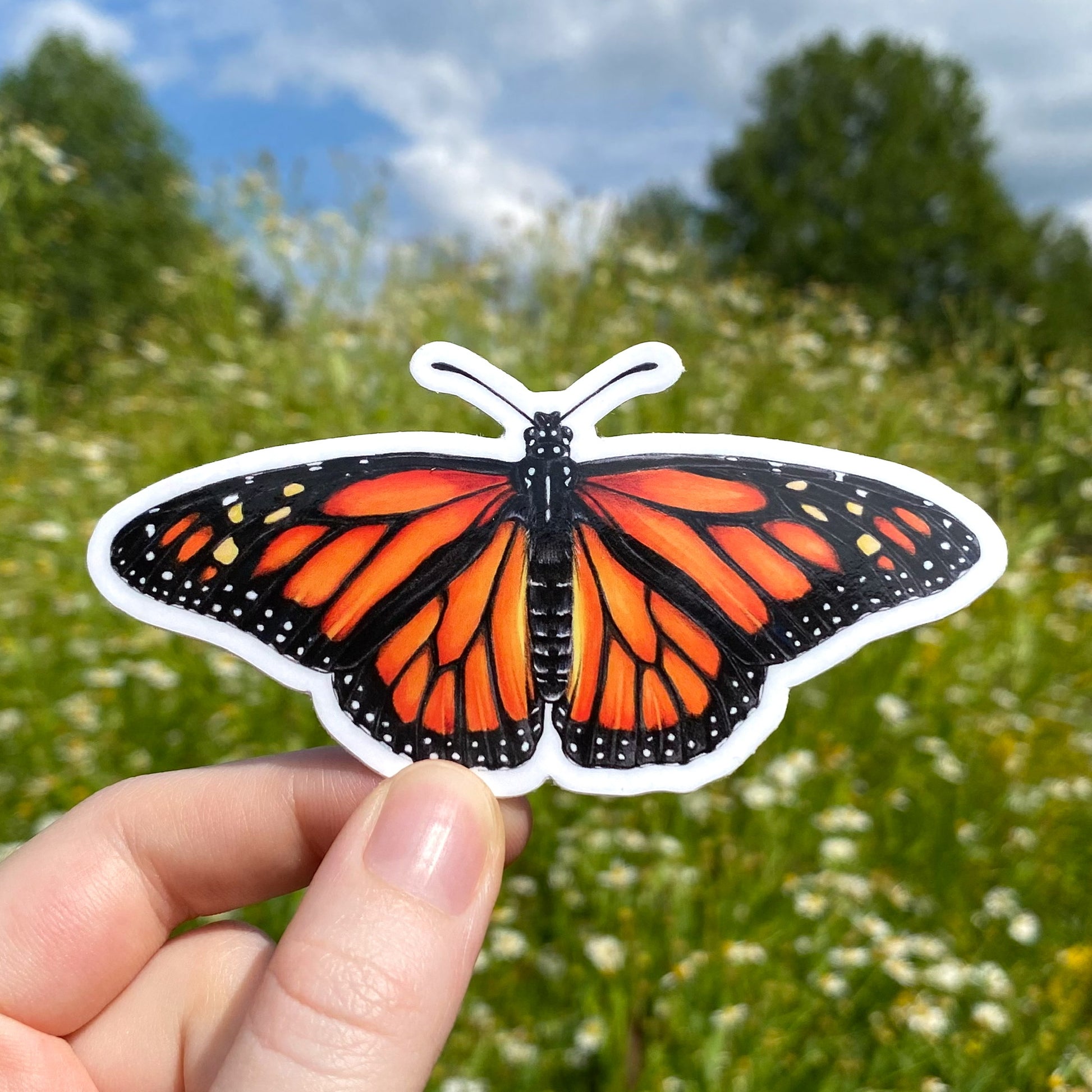 A hand holding a sticker featuring an illustration of a monarch butterfly