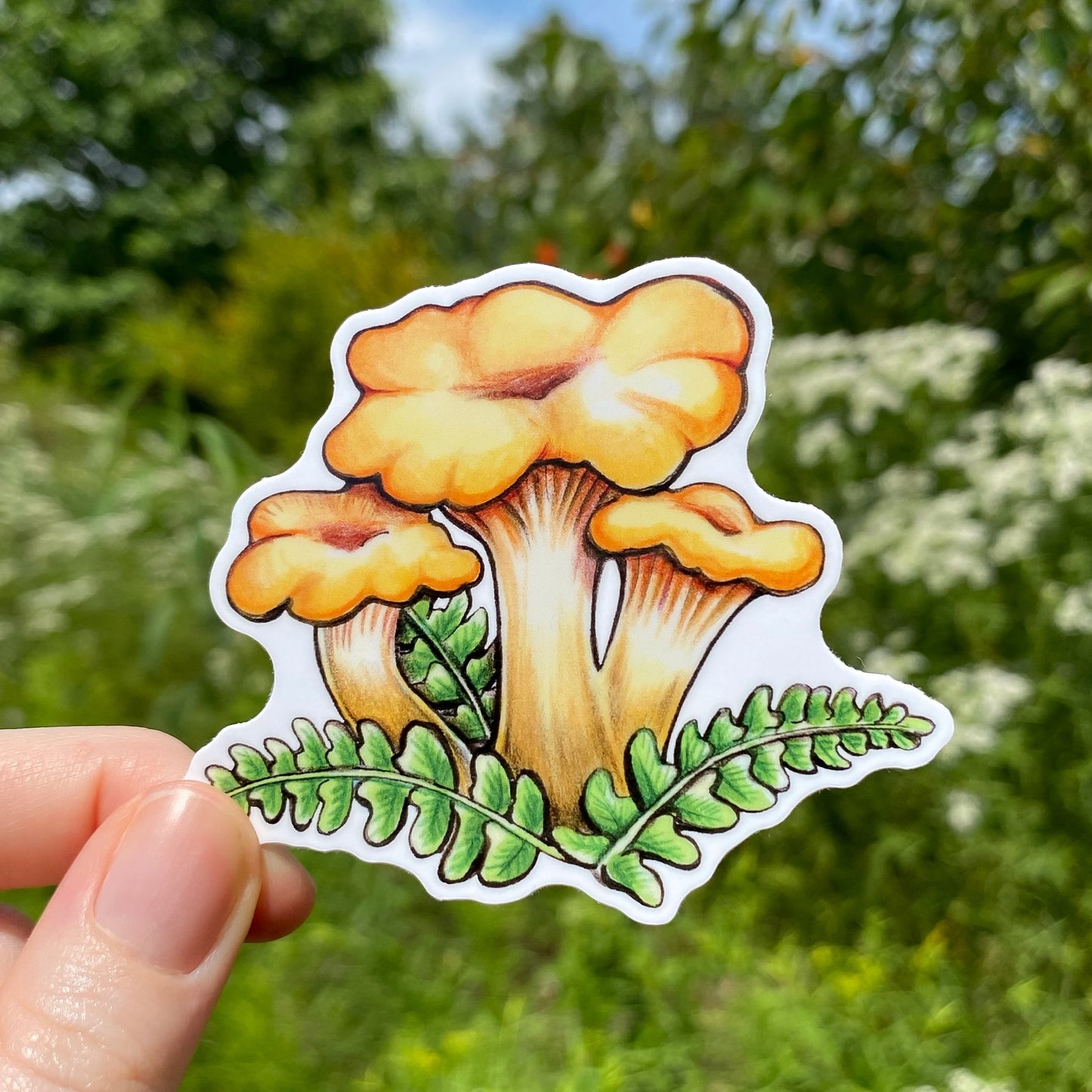 A hand holding a weatherproof vinyl sticker of a golden chanterelle mushroom.