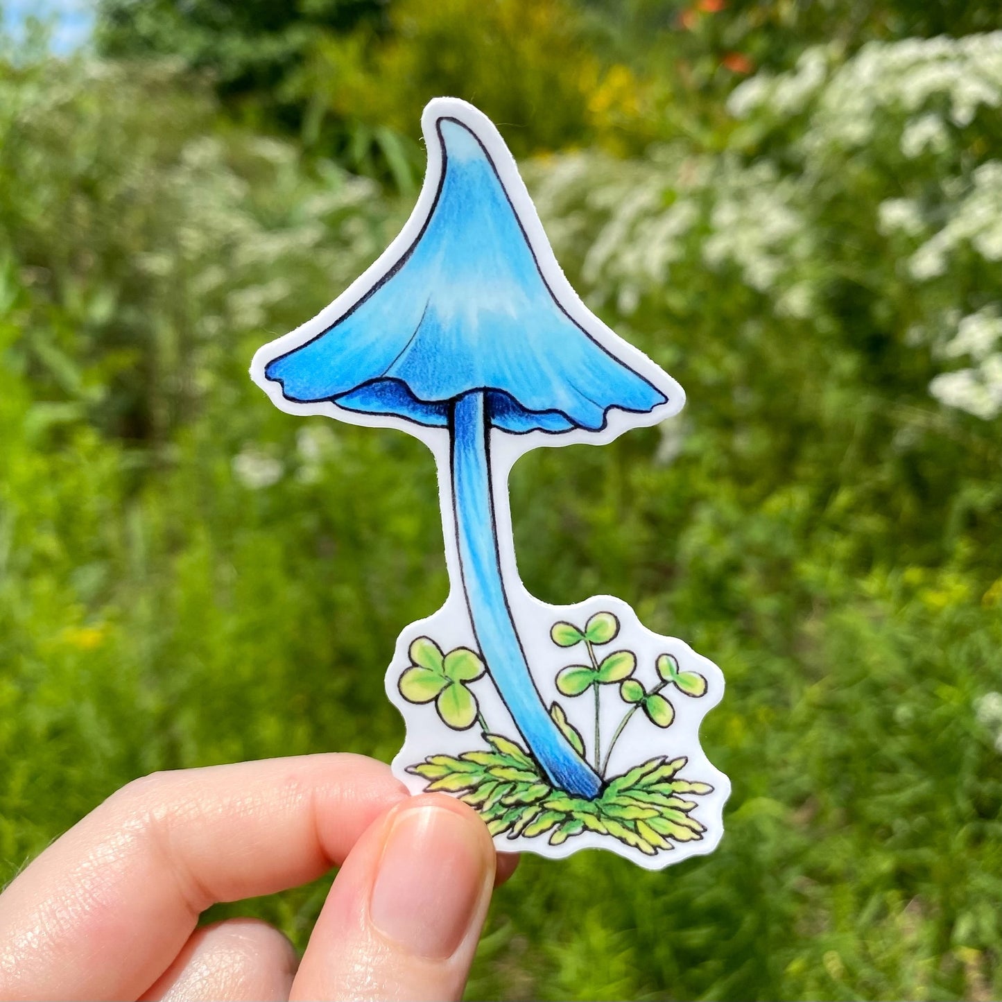 A hand holding a weatherproof vinyl sticker of a blue werewere-kōkako mushroom.