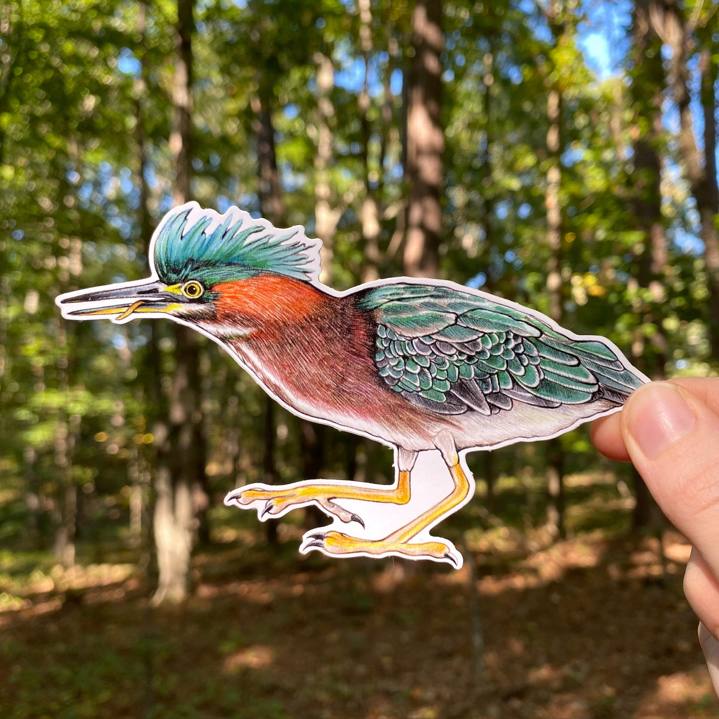 Green Heron Weatherproof Vinyl Sticker