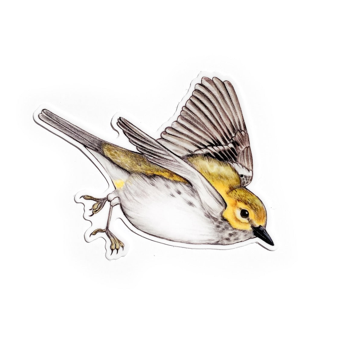 A sticker of a black-throated green warbler on a white background.