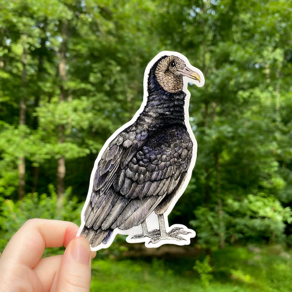 A hand holding a sticker of a black vulture.
