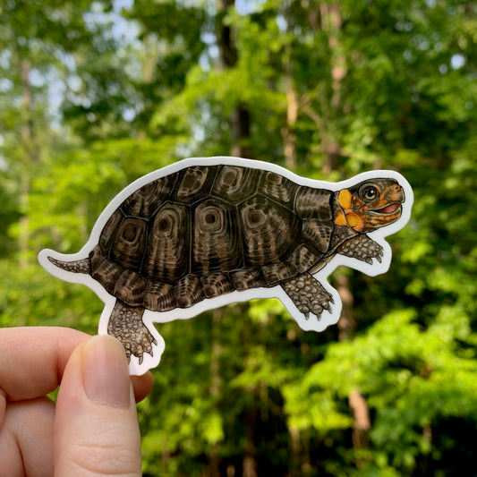 bog turtle weatherproof vinyl sticker