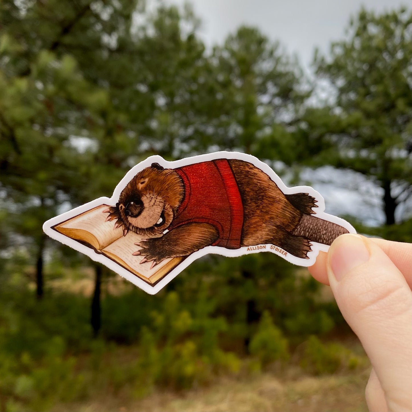 Sticker of a beaver reading a book held by a hand with a forest background