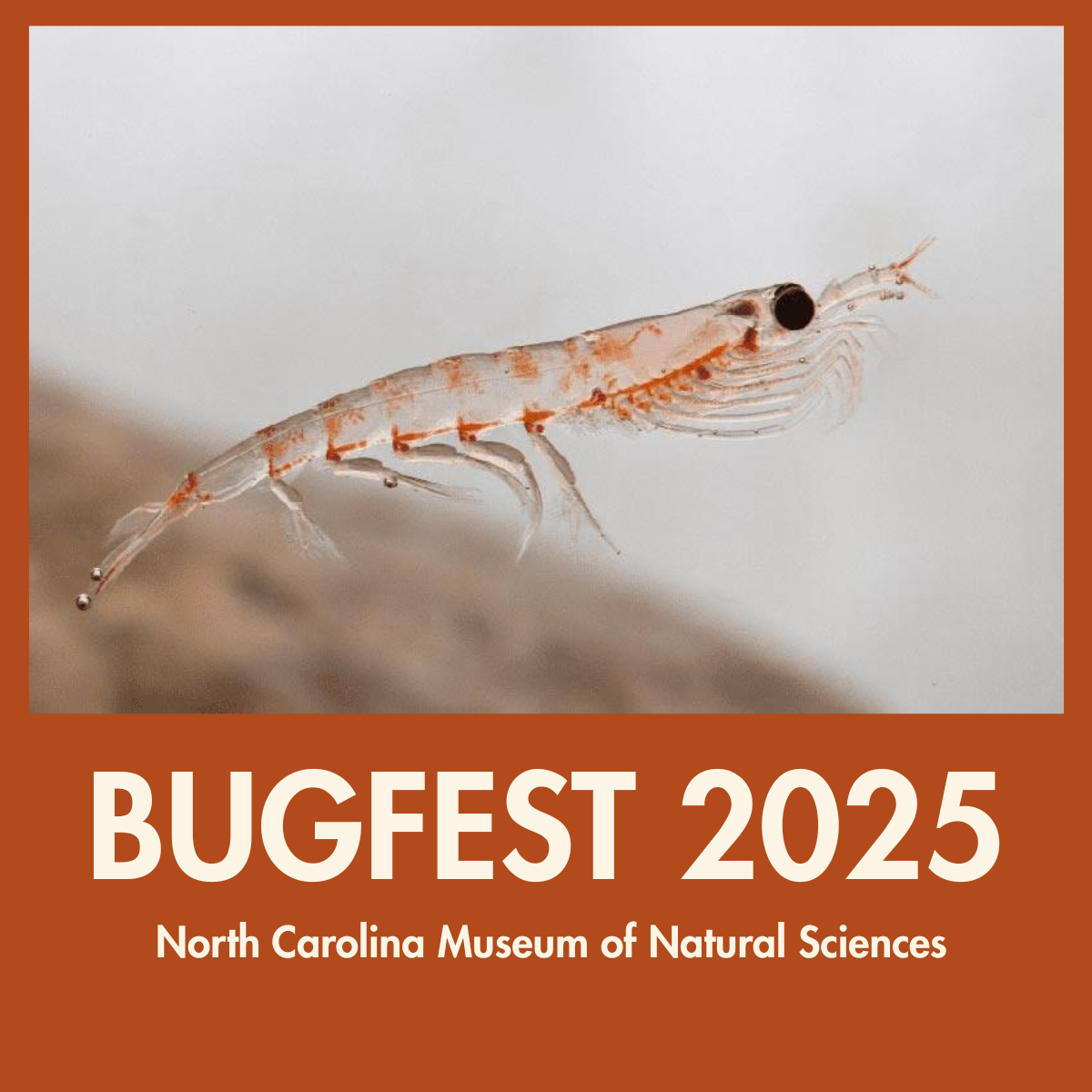 Promotional poster for Bugfest 2025 with a krill illustration on a rust background.