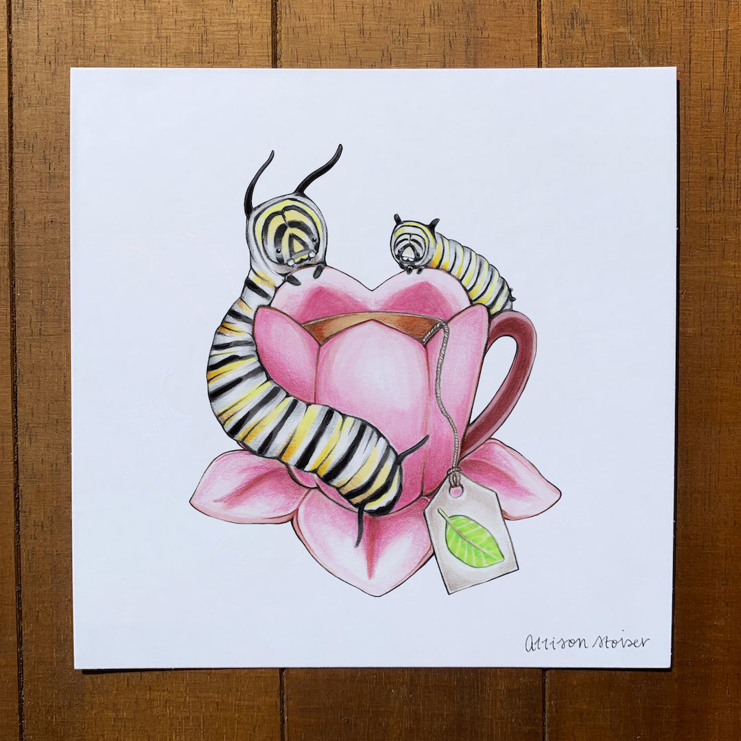 Teacup Monarch Caterpillar Print (5" x 5")