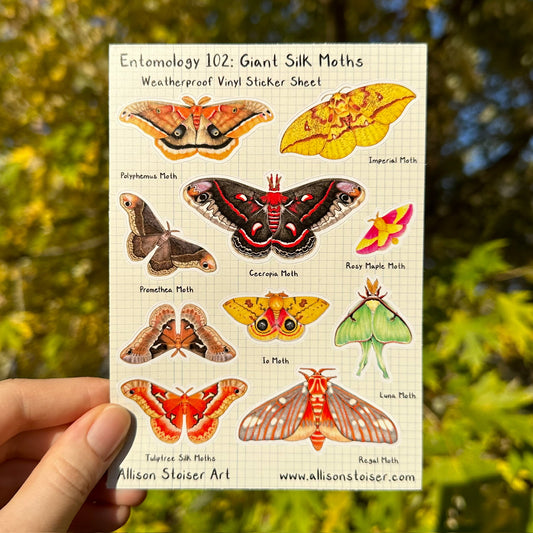 A weatherproof sticker sheet featuring illustrations of giant silkmoths