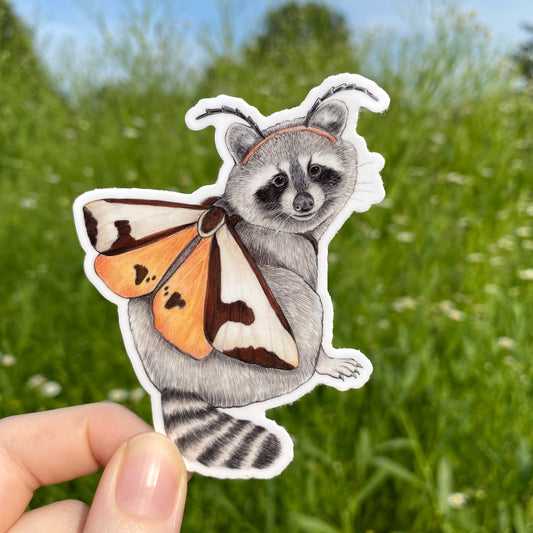 A hand holding a weatherproof vinyl sticker of a raccoon dressed up as a clymene moth.