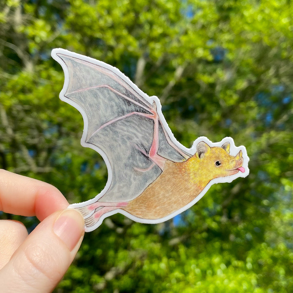 A hand holding a weatherproof vinyl sticker of a flying lesser long-nosed bat.
