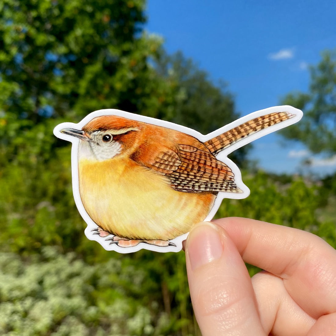 A hand holding a vinyl sticker of a Carolina wren