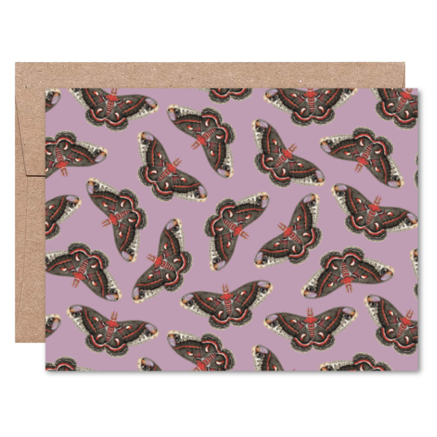 Moths and Butterflies Boxed Card Set