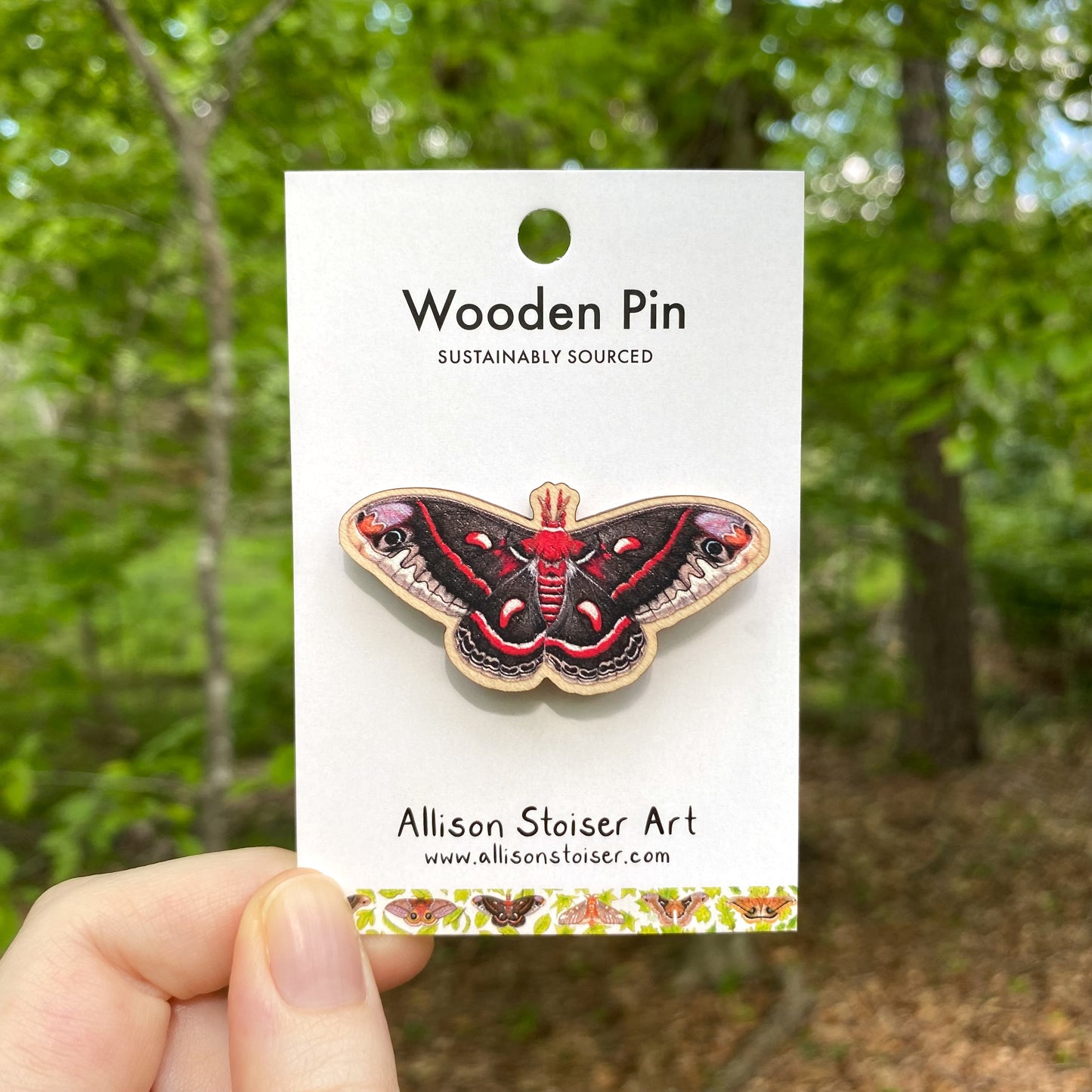 A wooden pin of a cecropia moth