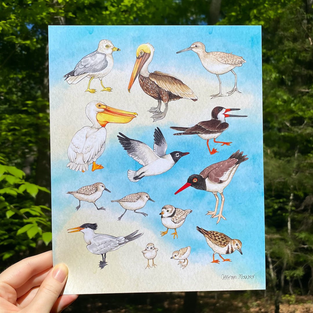 A hand holidng a print with a blue and tan watercolor background featuring a spread of coastal birds.