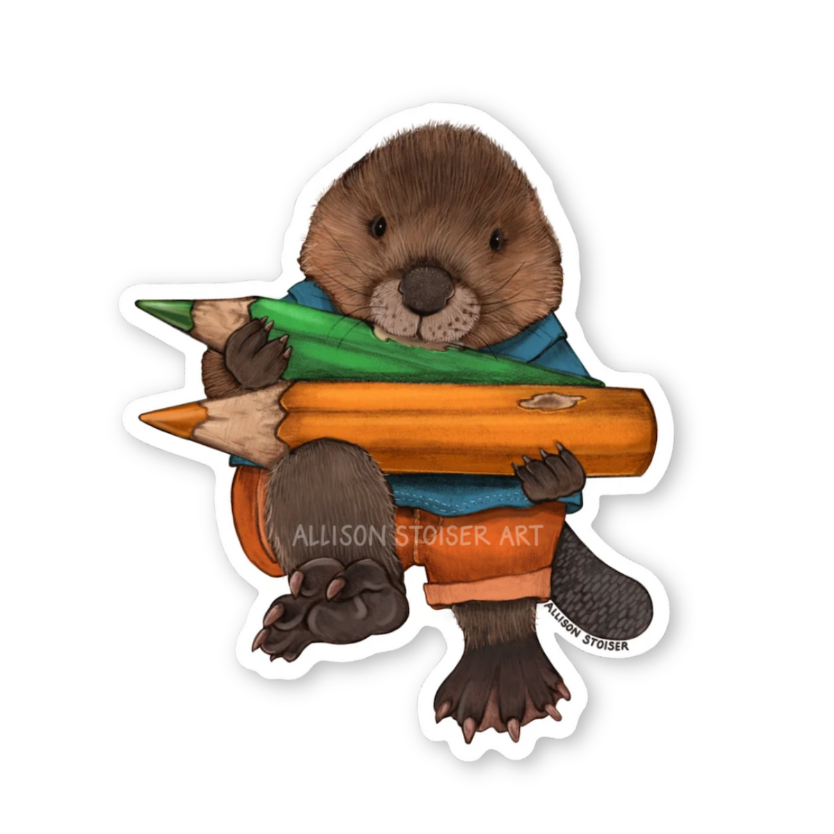 A sticker of a beaver holding two colored pencils.