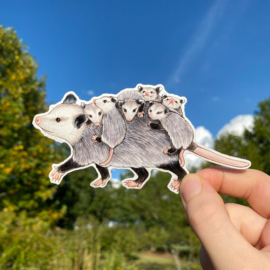 Mom Opossum with Babies Weatherproof Vinyl Sticker