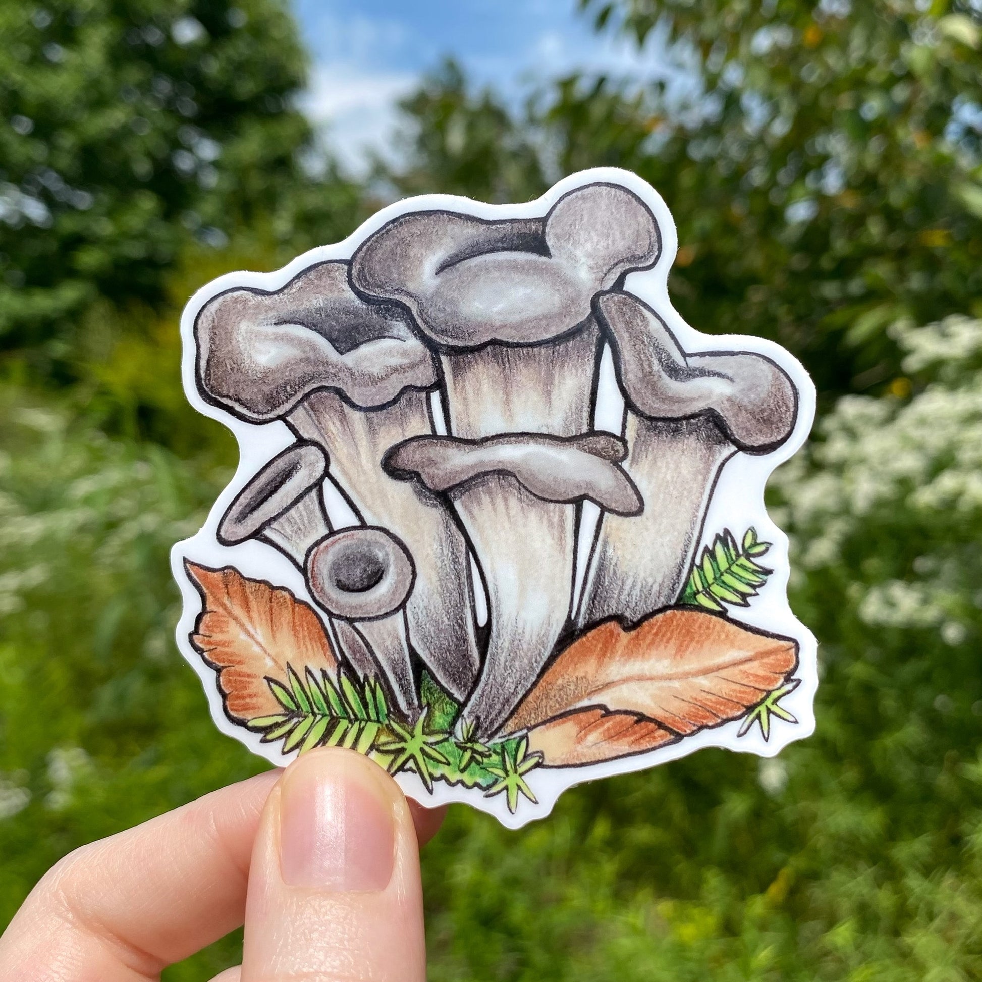 A hand holding a weatherproof vinyl sticker of a black trumpet mushroom.