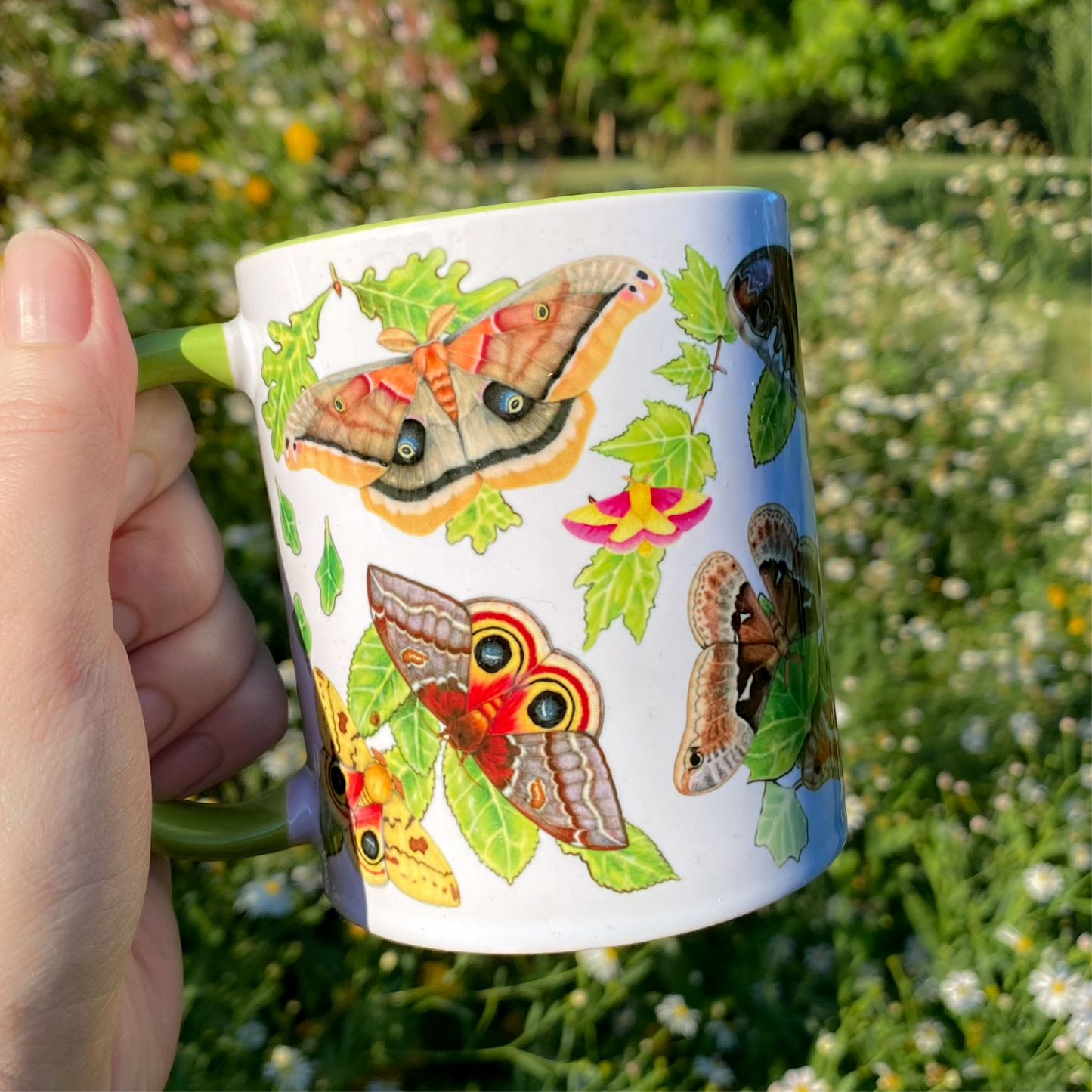 Silk Moths of the Eastern United States Mug