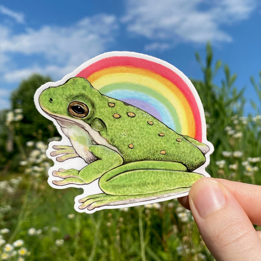 A hand holding a weatherproof vinyl sticker of a tree frog in front of a rainbow.