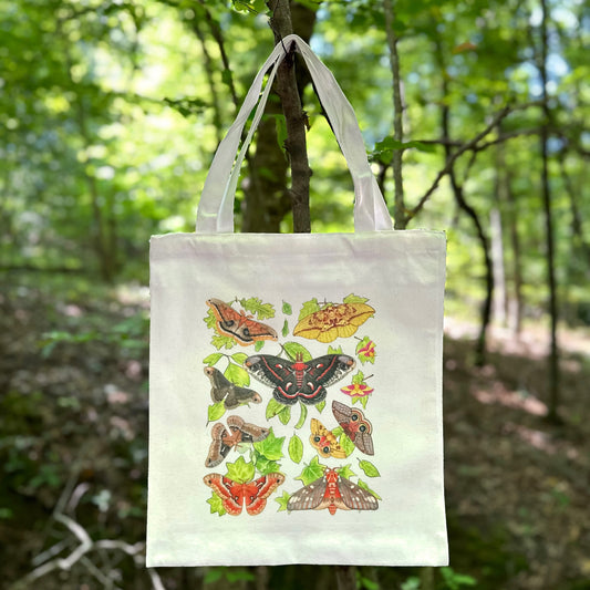 A tote bag featuring an illustration of silkmothos on leaves