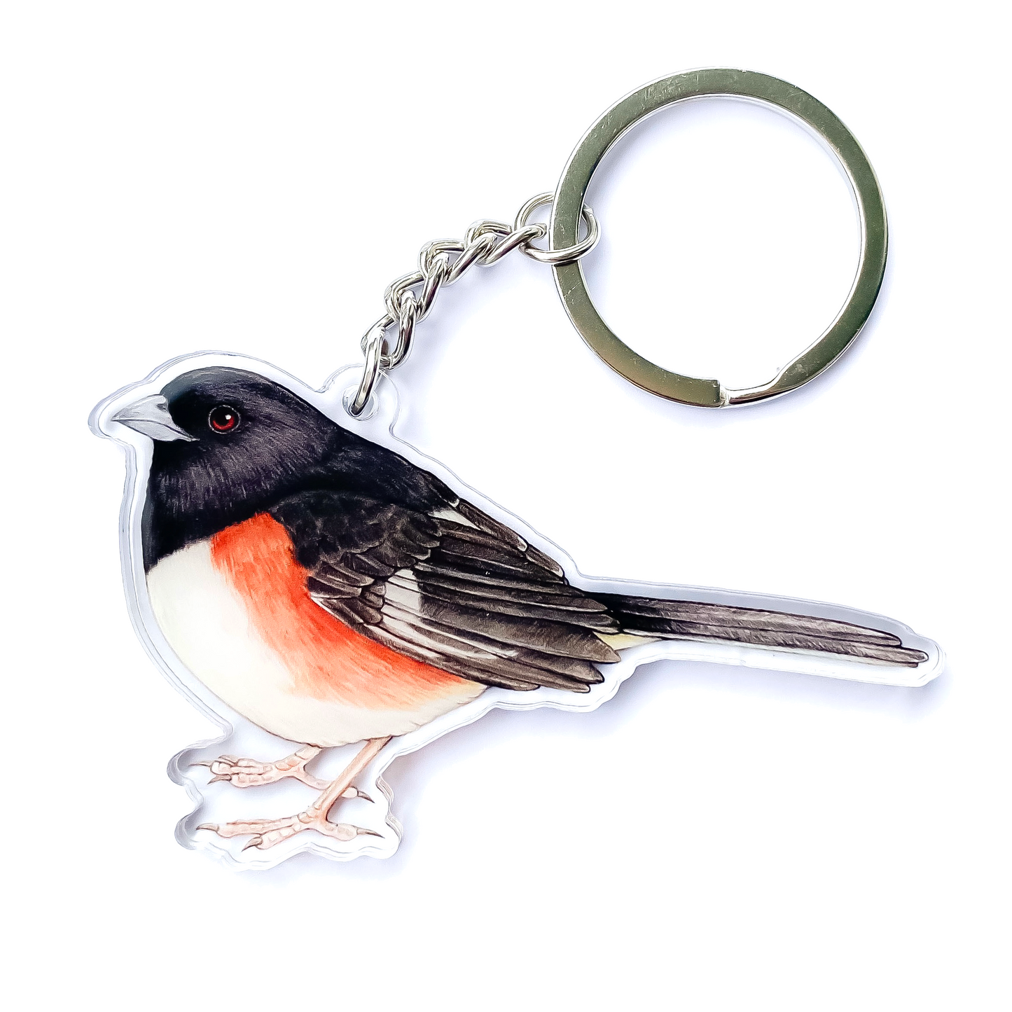 Eastern towhee keychain on a white background
